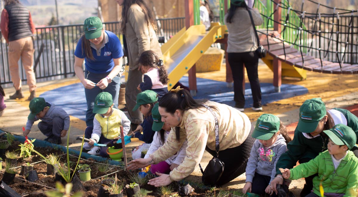  Entre 2001 y 2019 se perdieron 450 mil hectáreas de bosque nativo. Naturaleza Pública desarrolla su proyecto “Red de Ecosistemas para la Infancia”, una instancia que vincula a las nuevas generaciones con la fauna autóctona.